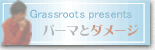 �p�[�}�ƃ_���[�W